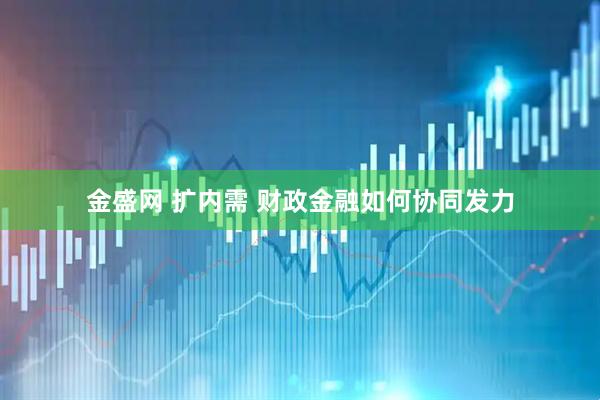 金盛网 扩内需 财政金融如何协同发力